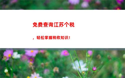 轻松搞懂个税缴纳查询！快速查询、便捷缴纳，让你的税务生活更简单！