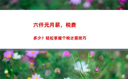 个人所得税国籍(个人所得税国籍选不了)