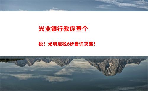 轻松查询个税，催债公司为您解囊