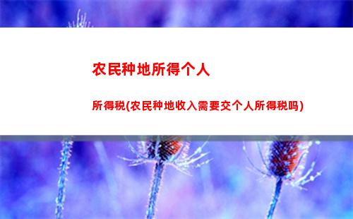 个人所得税经营所得指的是(个人所得税经营所得核定征收)