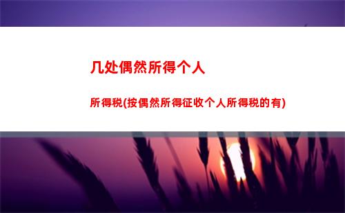个人综合个人所得税(综合个人所得税年度汇算)