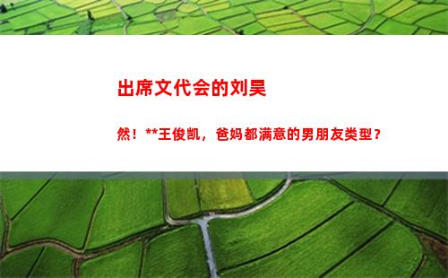 出席文代会的刘昊然！根正苗红王俊凯，爸妈都满意的男朋友类型？