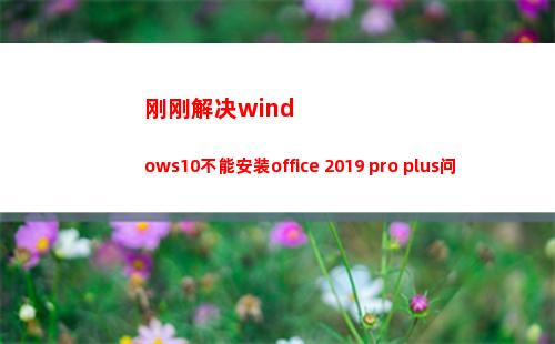 刚刚解决windows10不能安装office 2019 pro plus问题(刚刚解决个人卫生问题)