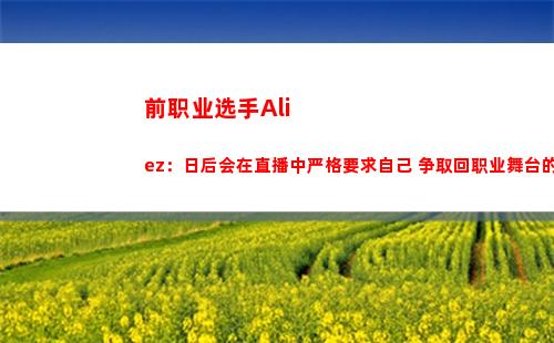 前职业选手Aliez：日后会在直播中严格要求自己 争取回职业舞台的机会