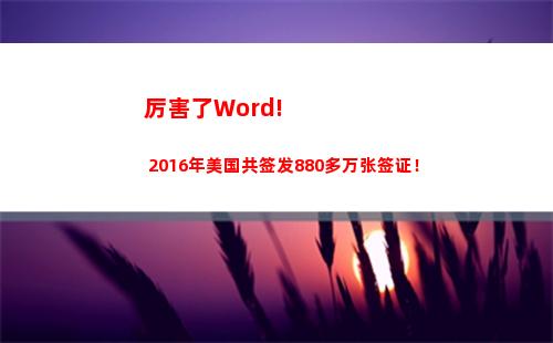 厉害了Word! 2016年美国共签发880多万张签证！(厉害了world手机卡真的假的)