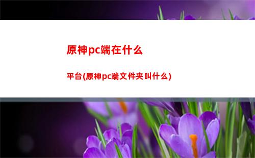 原神的戒指卖给谁(原神戒指卖给谁收益大)