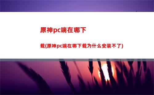 原神HP(原神hps计算)