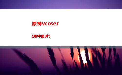 原神七神神之心棋子(原神七神是什么神)