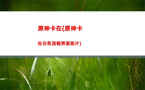 原神开放(原神开放的地图)