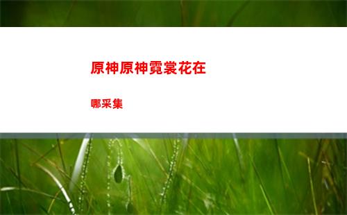 原神渊下宫任务(原神渊下宫任务在哪接)
