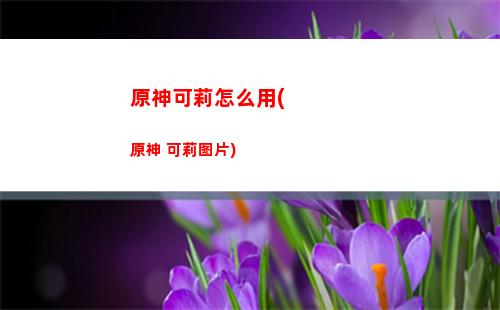 原神鲸天之章任务(原神鲸天之章任务攻略)
