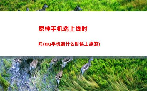 原神神之石(原神神石珀)
