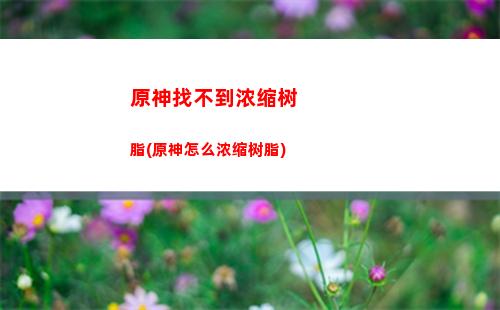 原神照片(原神照片壁纸)