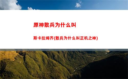 原神琴缺点(原神流浪者的缺点)