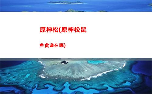 原神四人组(原神四人组对时怎么换角色)