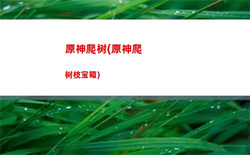 原神哪个五星值得培养(原神哪个五星角色最值得抽)