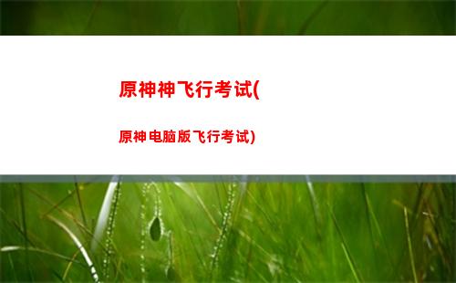 原神岩神x雷神(原神岩神壁纸)