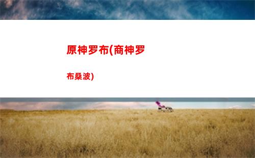 原神雷泽(原神雷泽圣遗物怎么配)