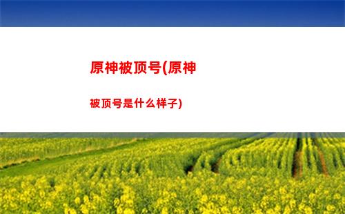 原神北苍狼(原神苍狼高地)