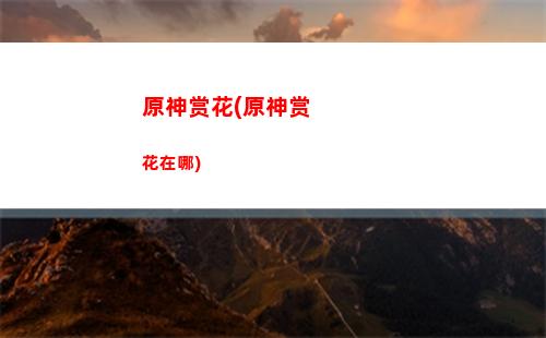 原神如雷套(原神如雷套装适合谁)