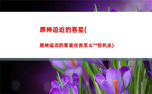 原神五千(原神五千原石多少抽)