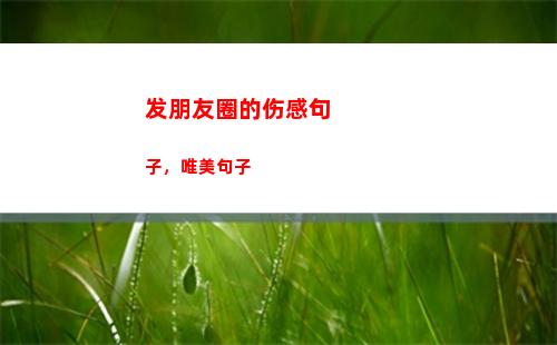 发朋友圈的伤感句子，唯美句子(发朋友圈的伤感句子酒吧)