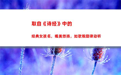 取自《诗经》中的经典女孩名，唯美悠扬，如歌般旋律动听