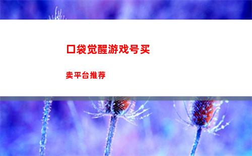 晶核一站到底游玩规则说明