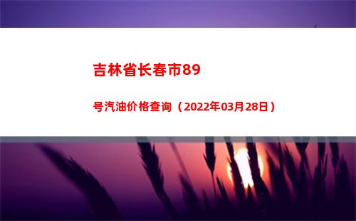 吉林省长春市89号汽油价格查询（2022年03月28日）