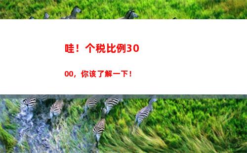 赚钱不怕交税！企业个人所得税抵扣比例让你省钱又省心