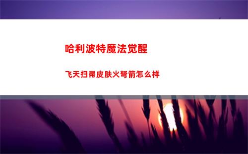 哈利波特魔法觉醒飞天扫帚皮肤火弩箭怎么样