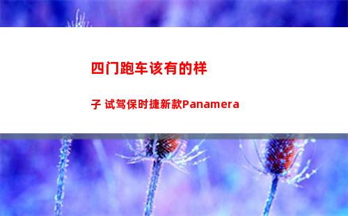 四门跑车该有的样子 试驾保时捷新款Panamera