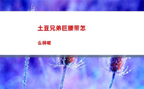土豆兄弟巨腰带怎么样呢
