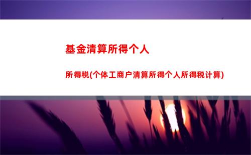 立享税收优惠！咨询费发票个人所得税快速计算，省钱又省心！