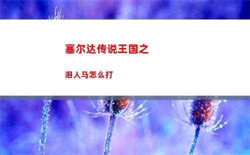 塞尔达传说王国之泪人马怎么打