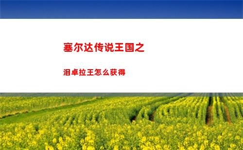 塞尔达传说王国之泪大师之剑怎么拿