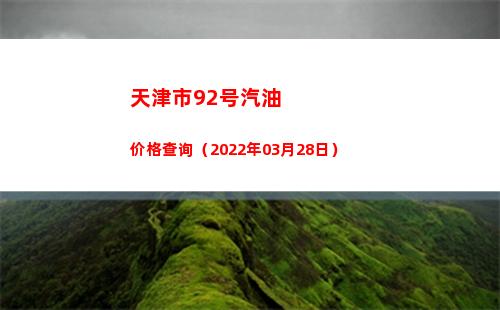 天津市92号汽油价格查询（2022年03月28日）
