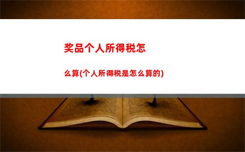 金三个人所得税
