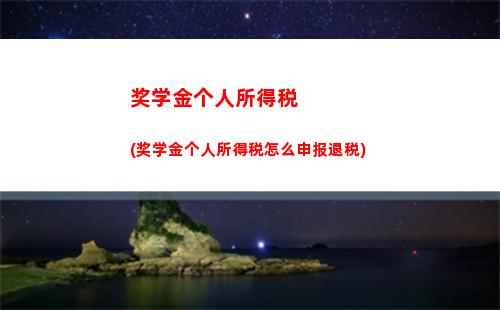 个人所得税报告(个人所得税报告表)