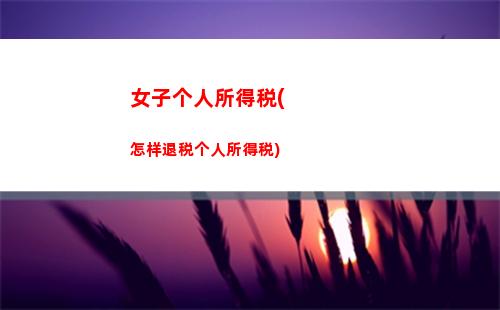 个人所得税经营所得延缓(个人所得税经营所得怎么申报)