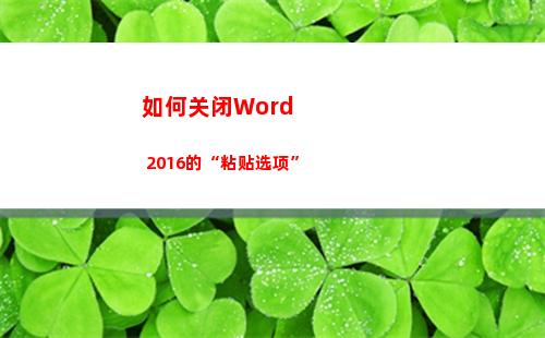如何关闭Word 2016的“粘贴选项”(如何关闭word激活提示)