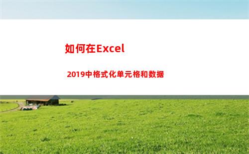 如何在Excel 2019中格式化单元格和数据(如何在excel表中筛选出相同的名字)