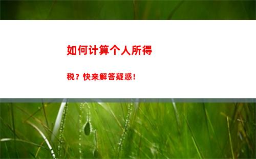 个人所得税个人所得0元(个人所得税app综合所得年度汇算)
