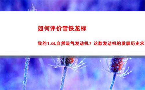 如何评价雪铁龙标致的1.6L自然吸气发动机？这款发动机的发展历史求高人普及一下？(雪铁龙车评价如何)