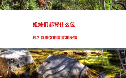 姐妹们都背什么包包？跟着女明星买准没错(姐妹们都背什么电脑包)