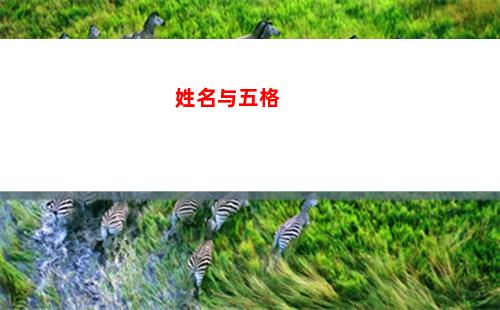 姓名与五格(姓名与五格打分)