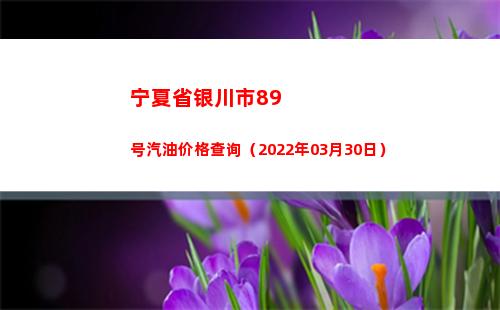 宁夏省银川市89号汽油价格查询（2022年03月30日）