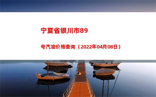 宁夏省银川市89号汽油价格查询（2022年04月08日）