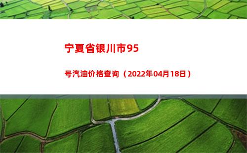 宁夏省银川市95号汽油价格查询（2022年04月18日）