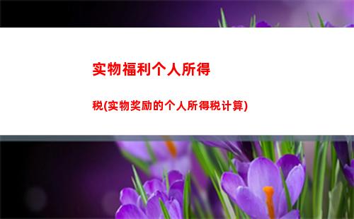 个人所得税计算器2017(个人所得税计算器2023)